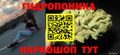 прущие крисы Пугачёв