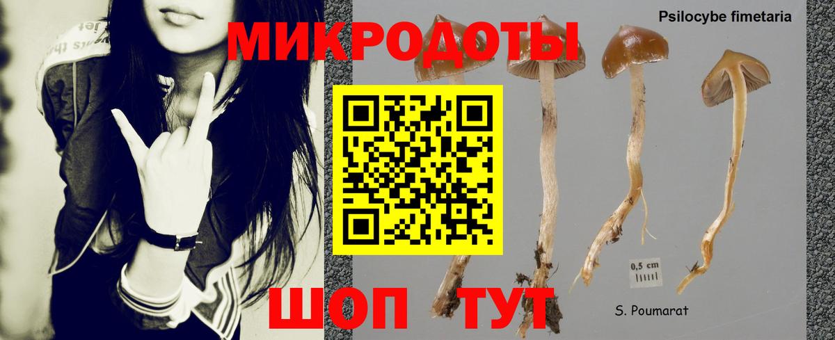 Галлюциногенные грибы мицелий Артём