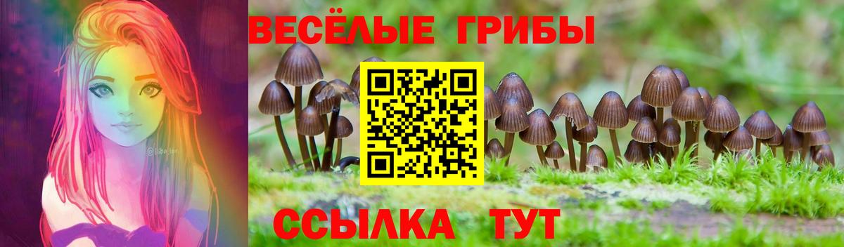Артём  Галлюциногенные грибы GOLDEN TEACHER  Вход с VPN  Галлюциногенные грибы Magic Shrooms 