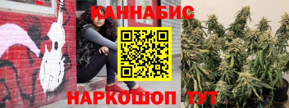 Артём  Канабис план  Вход с VPN  Каннабис конопля  Канабис White Widow  Шишки марихуана гибрид 